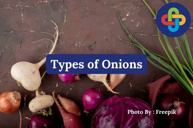  5 Types of Onions Commonly Used for Cooking and Their Unique Flavors